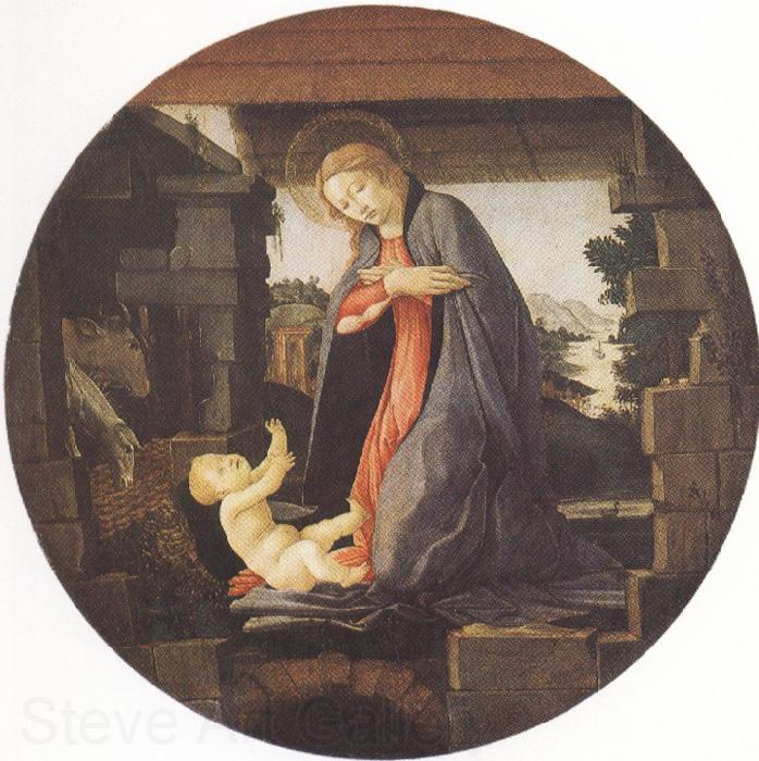 Sandro Botticelli Madonna in Adoration of the Christ Child (mk36) Norge oil painting art